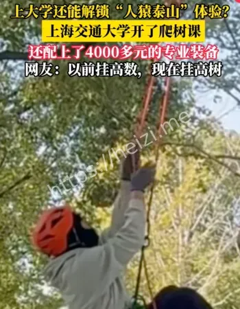 交大爬树课
